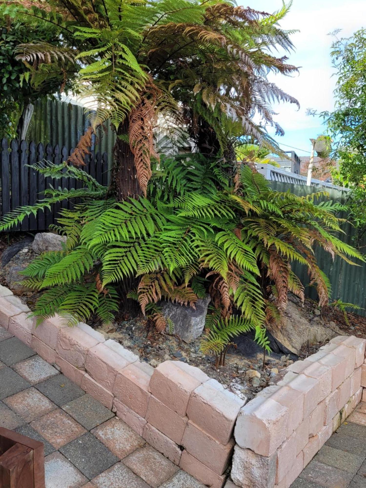 Apartment Silver Fern Haven Nelson